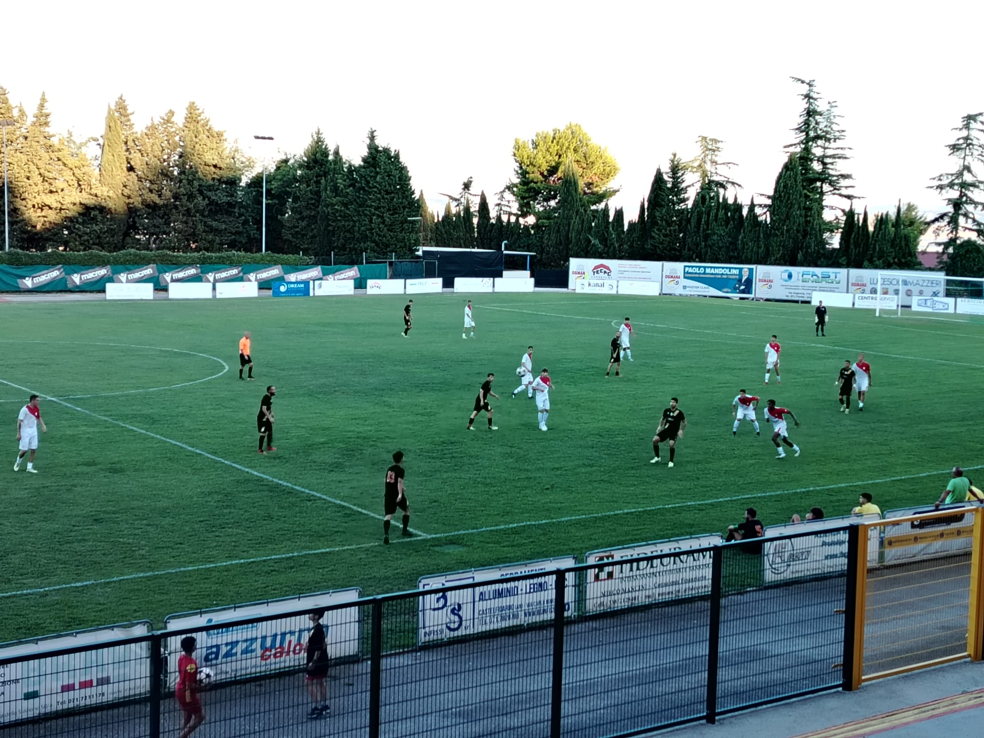 osimana ancona gioco